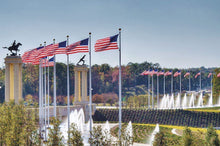 Load image into Gallery viewer, 70'x10"x0.312 95mph